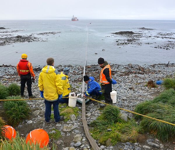 a group of expeditioners set up the hose on the beach