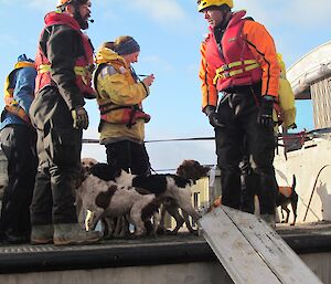 The dogs and LARC crew on a LARC