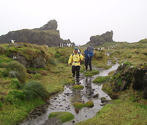 Two expeditioners walking along a creek line with rock stacks in the distance