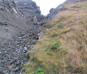 Same spot with improved vegetation