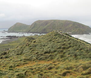 Same spot with good cover of tussock grass