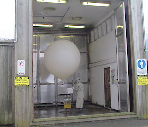 Observer with an inflated weather balloon inside shed