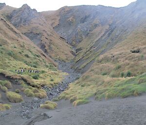 Looking up a steep gully from the beach