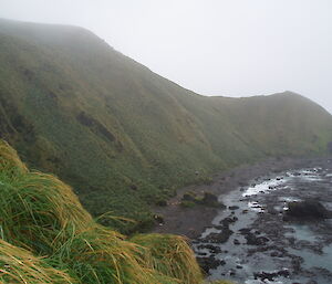 The steep hillsides of Wireless Hill leading down to the North Head beaches