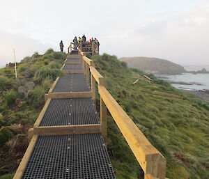 Walkway with little tussock grass growth