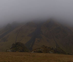 Looking across featherbed and coastal rockstacks to escarpment