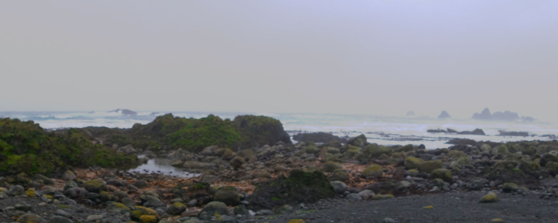 Landscape view of expeditioner looking along coast