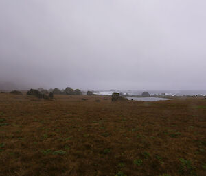 View across flat grassy landscape