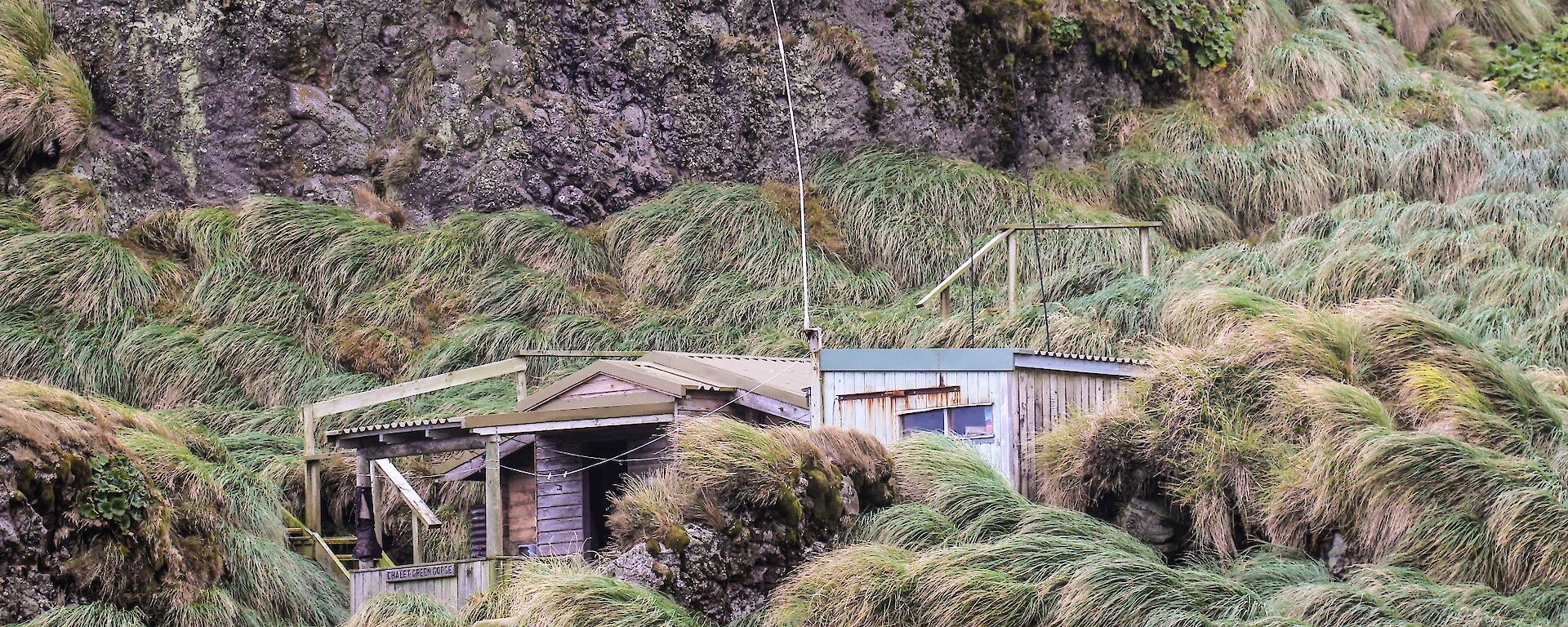 Field hut surrounded by tussock grass
