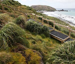 Exclosure plot with short tussock grass surrounding it