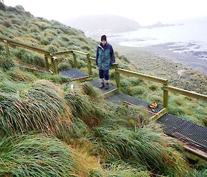 exclosure plot surrounded by lush tussock grass