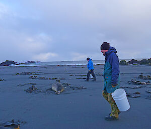 Two expeditioners walk around seal on beach