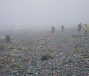 Five expeditioners conduct beach walk