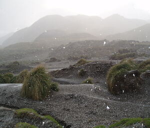 Snowfall at Bauer Bay