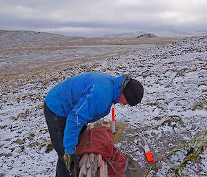 Chris replacing track markers on the Overland Track