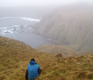An expeditioner looks out over Caroline Cove from Petrel Peak