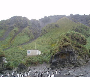 Hurd Point hut as viewed from the beach