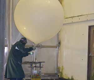 Weather observer releasing balloon