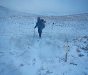 Ranger in the field on an awful day with low visibility and lots of snow