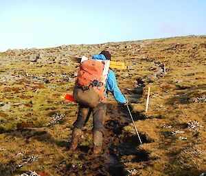 Ranger carrying track markers along track