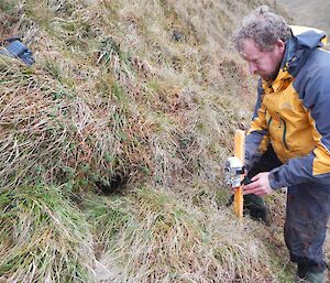 Mike setting a camera on an active blue petrel burrow