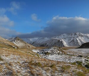 The grassy slopes of Green Gorge — a panoramic landscape image that also shows snow-capped mountains