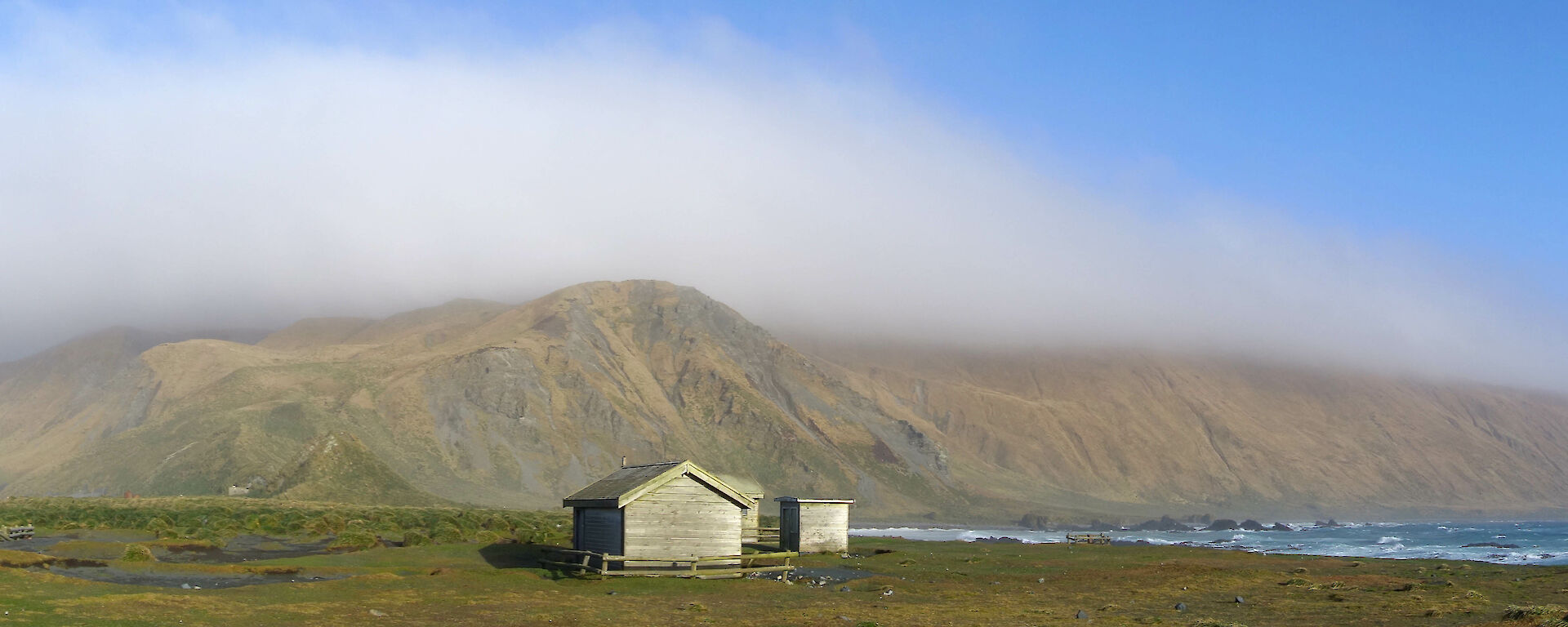 Macca landscape