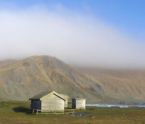 Macca landscape