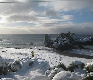 Snowy Hurd Point beach