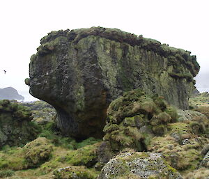 Coastal rock stack at Davis Point