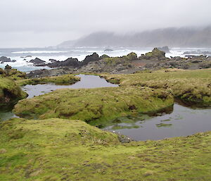 Coastal scenery at Davis Point