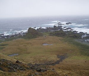 Davis Point hut from midway up the jump-up