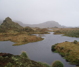 Beautiful Macca west coast scenery