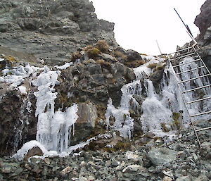 Gadgets Gully walking track ladder and iced waterfall