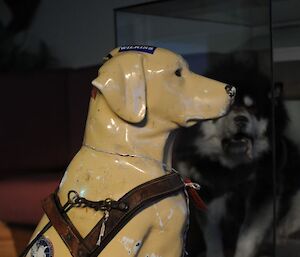 Stay the plastic yellow labrador, a station mascot