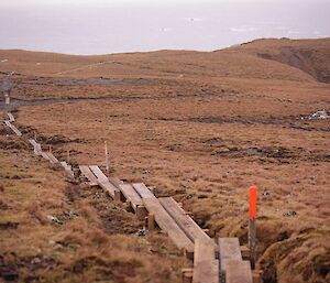 New section of boardwalk track with long boards forming a long trail up through low tussock grass