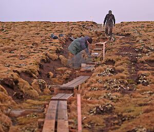 Ivor and Chris applying the finishing touches to the new section of boardwalk at the top of Doctors track seen laying down chicken wire to boards