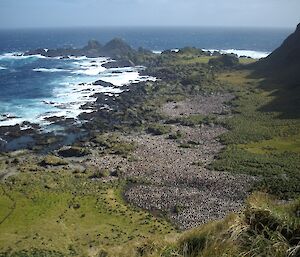 Rockhopper Bay and Cape Toutcher