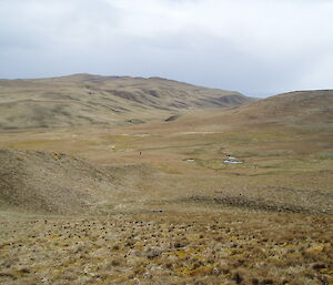Flat Creek catchment on the plateau, skua nest searcher in the distance