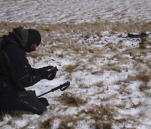 ranger Mike records the location of this nest using GPS