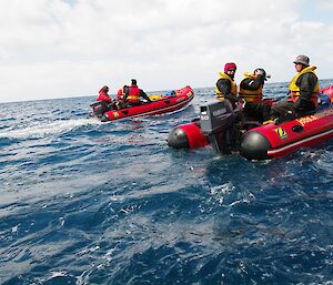 Zodiac boats at sea