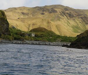 Green Gorge hut from the boat