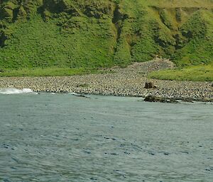 King penguin colony and historic digesters at Lusitania Bay