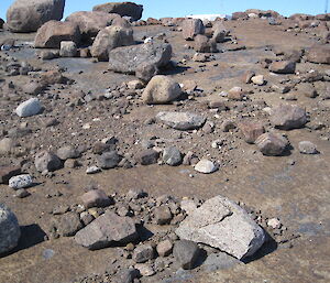 Large and small boulders and gravel cover the smooth surace of Mawson Rock in the least disturbed area