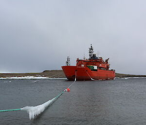 Aurora Australis moored in Horseshoe Harbour