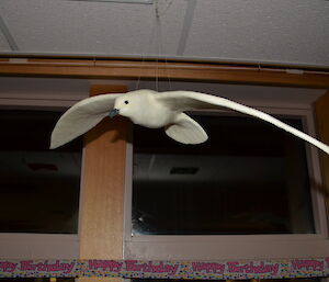 Snow petrel model hands from ceiling inside Mawson station