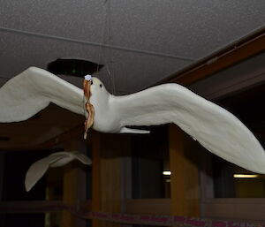 A snow petrel model hangs from the ceiling inside Mawson station