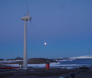 Mawson turbine 10th birthday