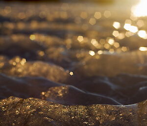 Sunset is reflected off ice which is the focus of this close up image