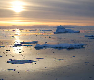 Sea ice floating at sunset with sun reflecting on water and a lone penguin on an ice floe